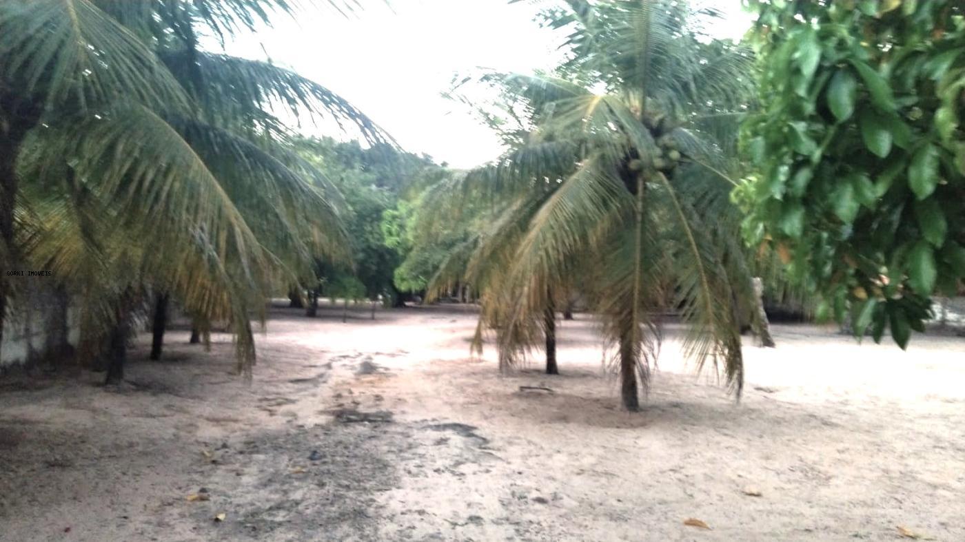 Fazenda, 2 hectares - Foto 2