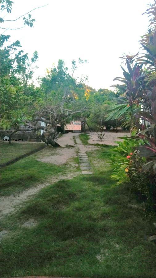 Fazenda, 2 hectares - Foto 6