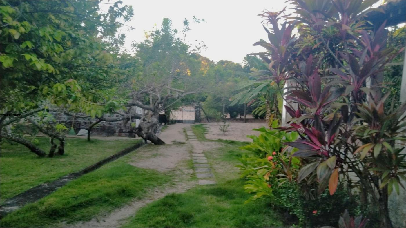 Fazenda, 2 hectares - Foto 8