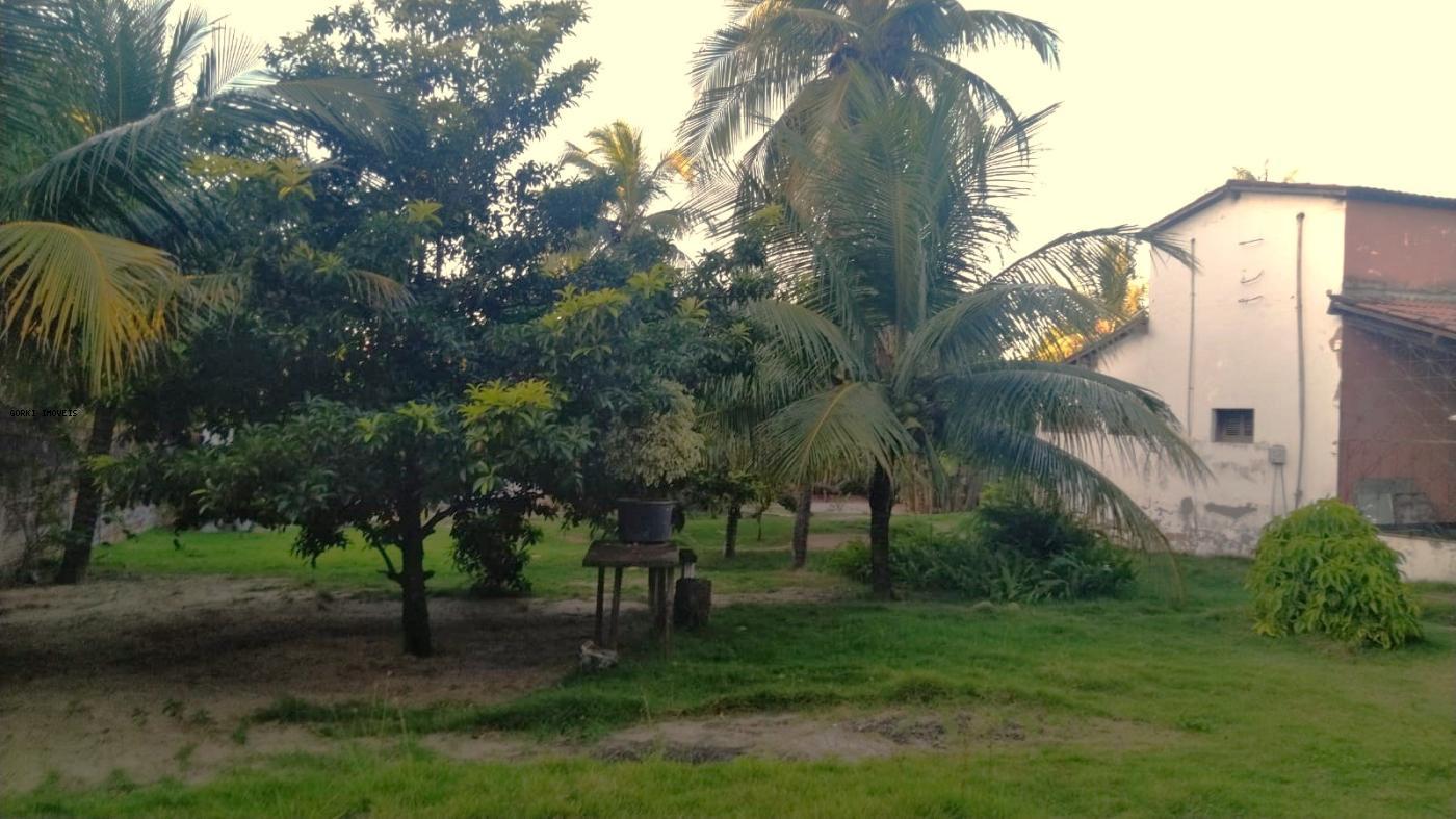 Fazenda, 2 hectares - Foto 9