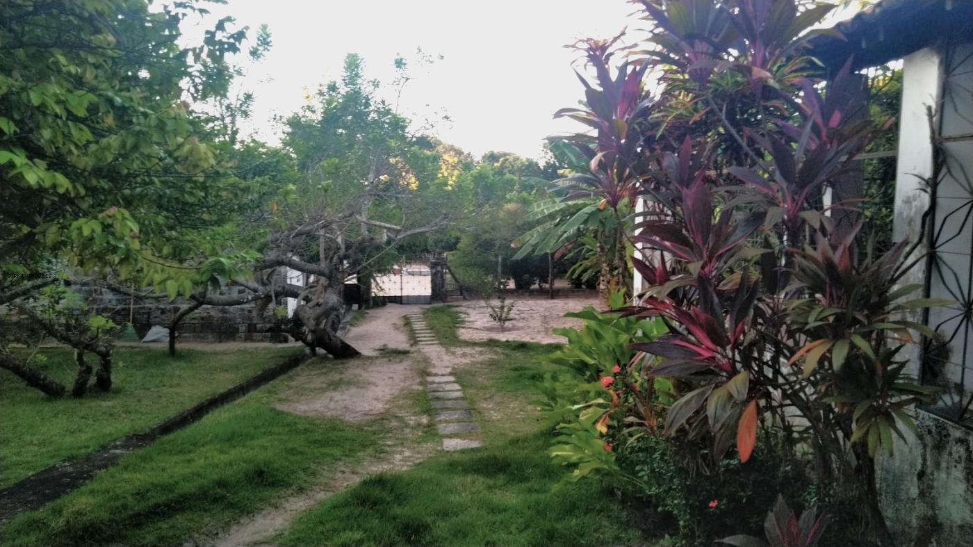 Fazenda, 2 hectares - Foto 10
