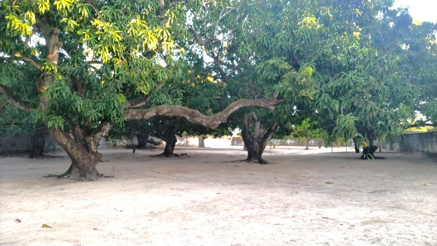 Fazenda, 2 hectares - Foto 11