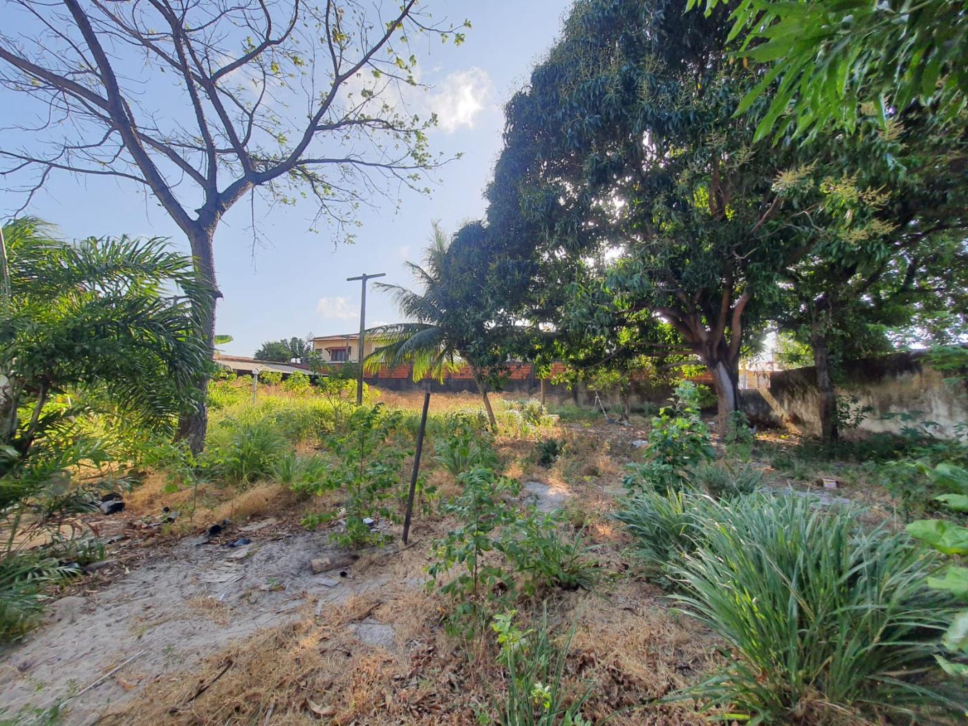 Terreno, 2115 m² - Foto 7