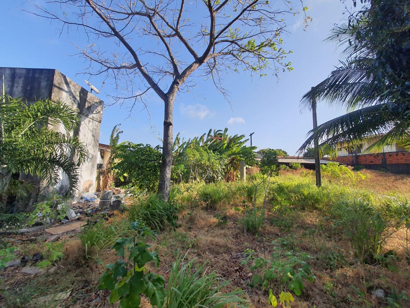 Terreno, 2115 m² - Foto 8