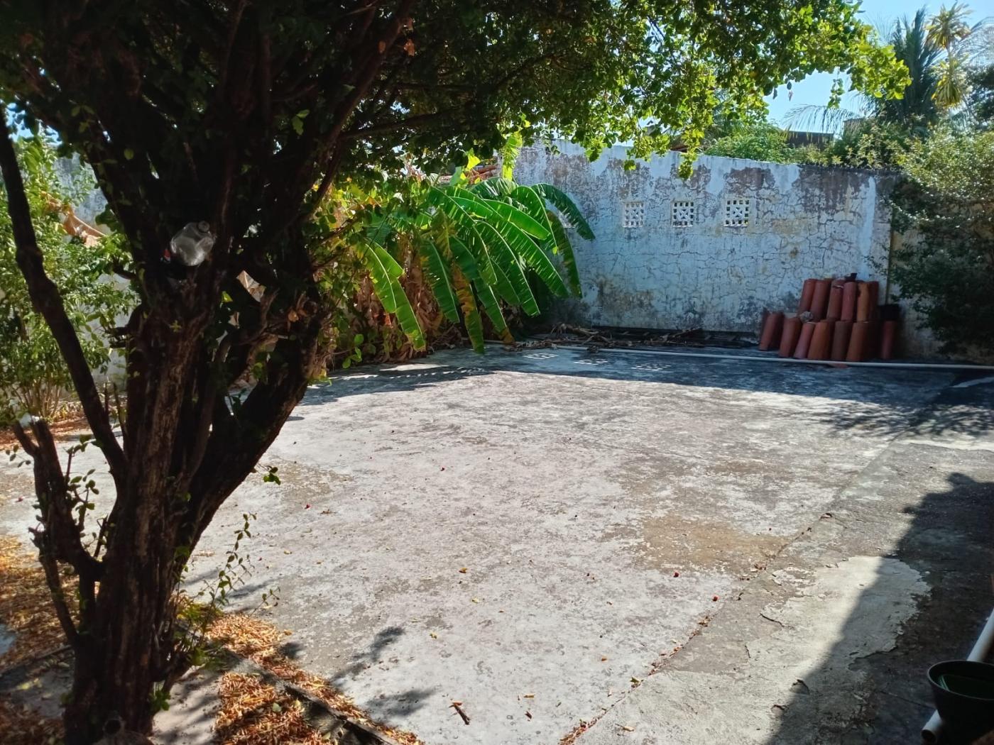 Casa, 4 quartos, 334 m² - Foto 11