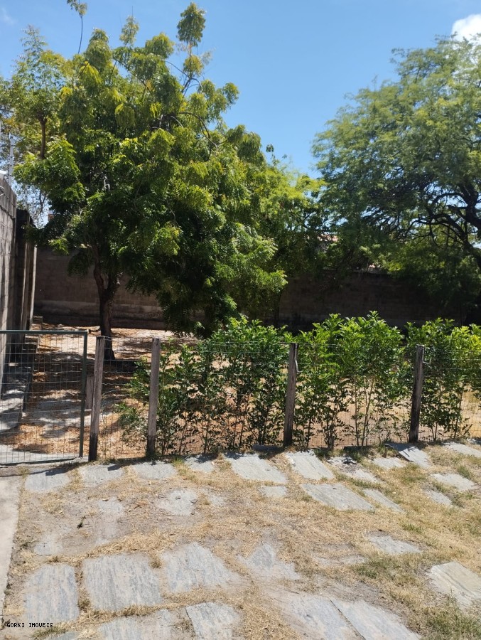 Casa, 4 quartos, 378 m² - Foto 33