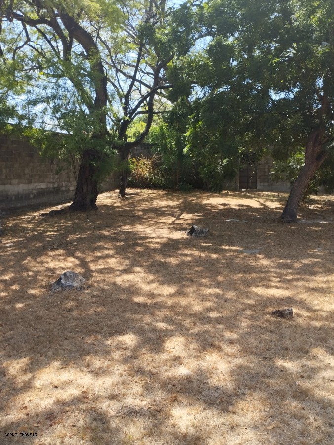 Casa, 4 quartos, 378 m² - Foto 36