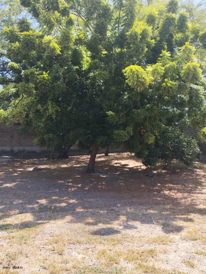 Casa, 4 quartos, 378 m² - Foto 37