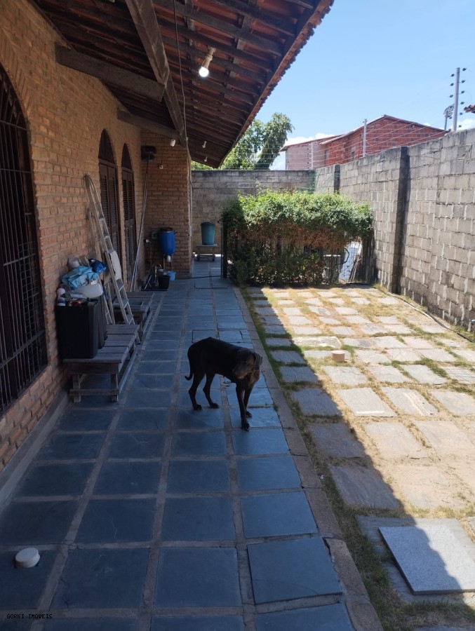 Casa, 4 quartos, 378 m² - Foto 38