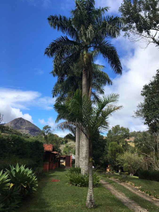 Casa, 4 quartos - Foto 8