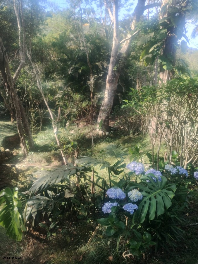 Casa, 4 quartos - Foto 13