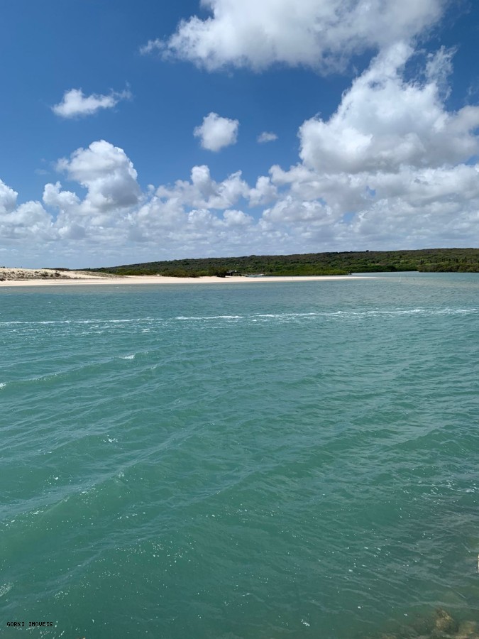 Prédio Inteiro - Foto 6